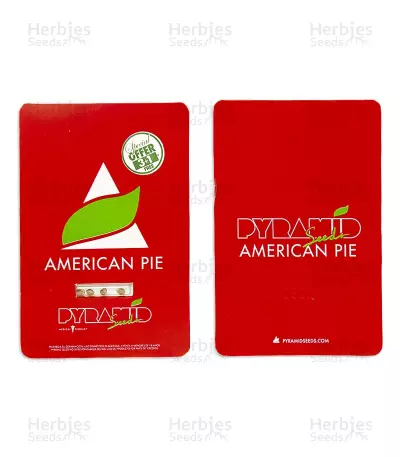 American Pie Seeds