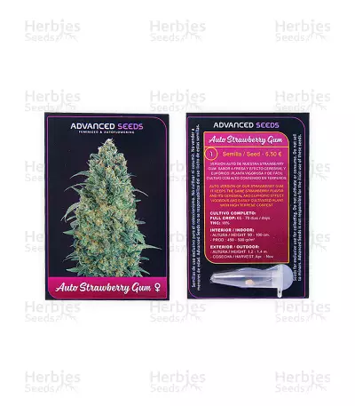Auto Strawberry Gum Seeds