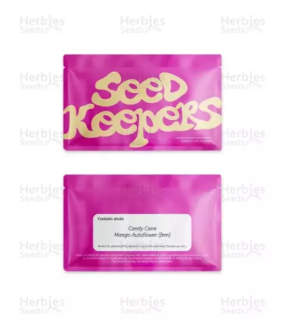Candy Cane Mango Seeds (Seedkeepers)