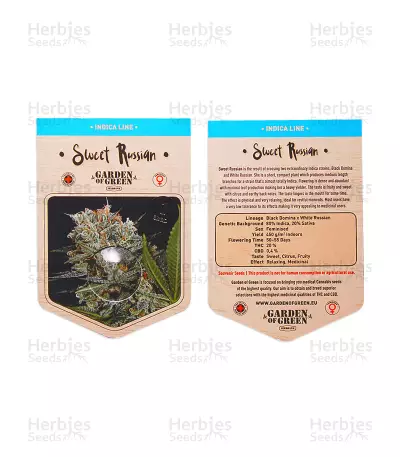 Sweet Russian Seeds