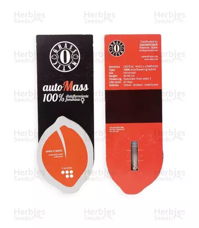 Auto MASS feminized seeds