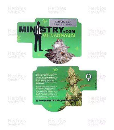 CBD Star Seeds