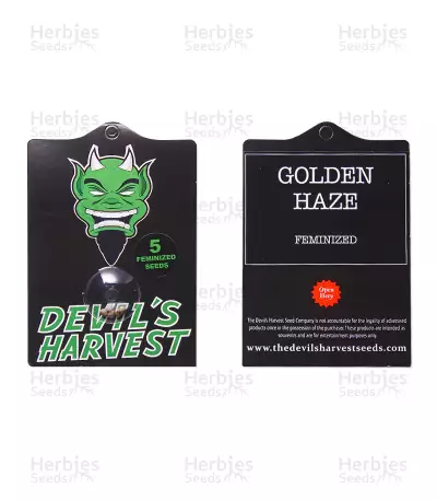 Golden Haze Seeds