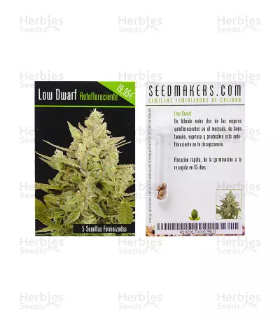 Graines de cannabis Lowdwarf Auto (Seedmakers Seeds)