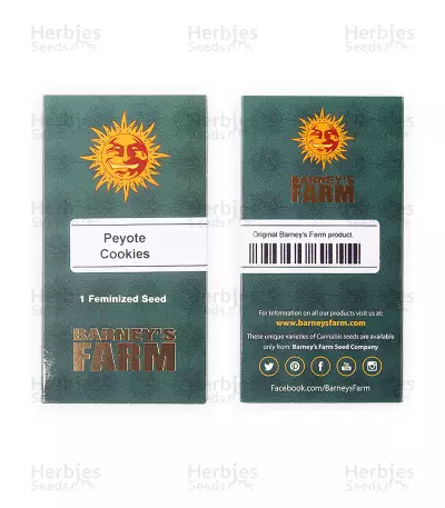 Peyote Cookies strain seeds