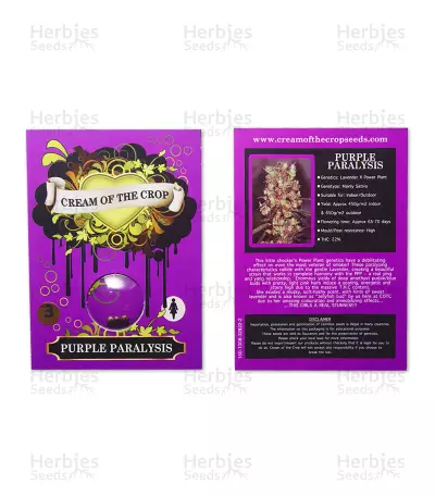 Purple Paralysis Seeds