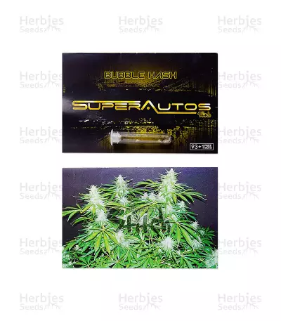 Bubble Hash Auto Seeds