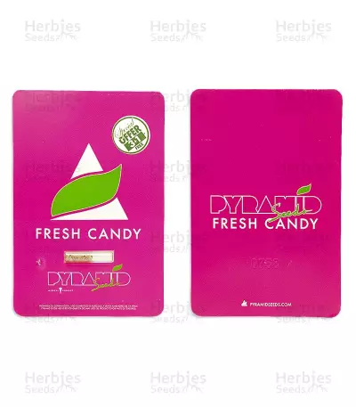 Fresh Candy (Pyramid Seeds)