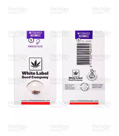 Graines de cannabis Master Kush Auto (White Label)