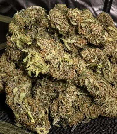 Purple Lemonade Auto RF3 Seeds (Fast Buds)
