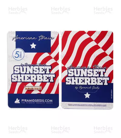 Graines de cannabis Sunset Sherbet (Pyramid Seeds)