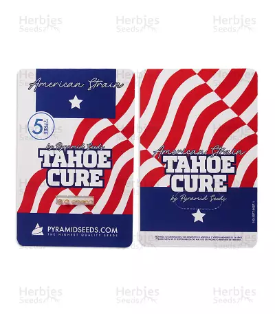 Tahoe Cure Seeds