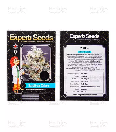 Z Glue feminized seeds (Expert Seeds)