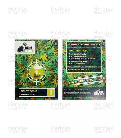 Berry Bomb feminized seeds