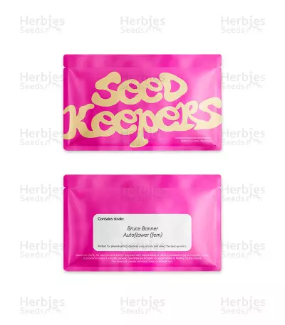 Bruce Banner Autoflower เมล็ดพันธุ์สตรี (Seedkeepers)