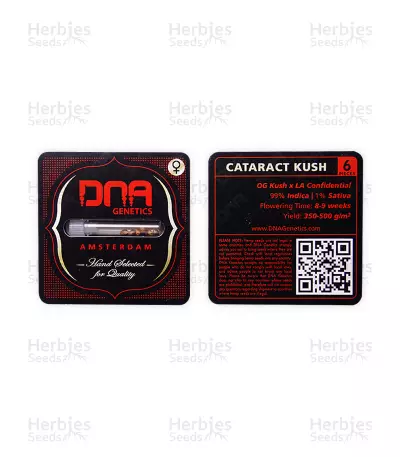 Cataract Kush (DNA Genetics)