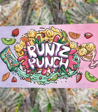 Runtz Punch Seeds (Herbies Seeds)