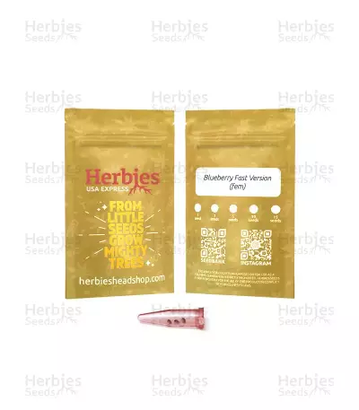 Blueberry Fast Version (Herbies Seeds USA)