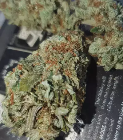 Watermelon Z (Barney's Farm)