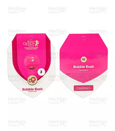 Graines de cannabis Bubble Kush (RQS)