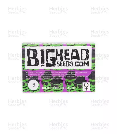 Julies Cookies Auto feminized seeds