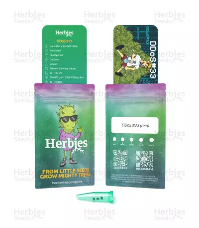 DDoS #33 Seeds (Herbies Seeds)