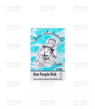 Don Purple Dick feminized seeds