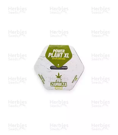 Power Plant XL Auto feminized seeds