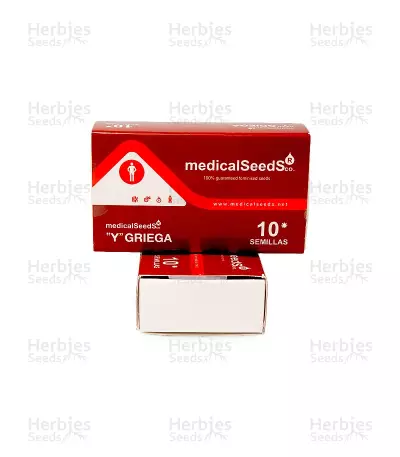 Y Griega feminized seeds