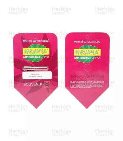 Master Kush Seeds (Nirvana Seeds)