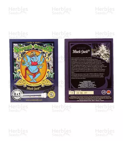 Black Jack Seeds
