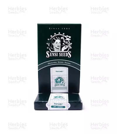 First Lady regular (Sensi Seeds)