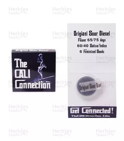 Original Sour Diesel Seeds (Cali Connection Seeds)