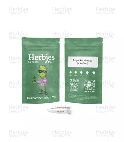 Purple Punch Auto Feminized Seeds (Herbies Seeds Canada)
