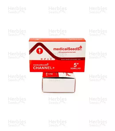 Graines de cannabis Channel + (Medical Seeds)