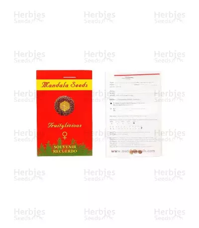 Fruitylicious feminized seeds