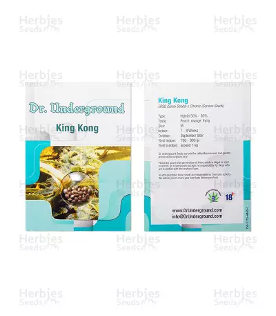 King Kong Seeds