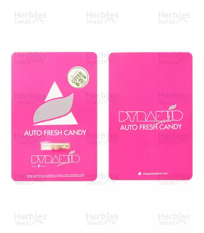 Auto Fresh Candy seeds