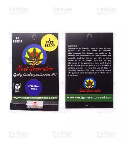 Graines de cannabis Grapefruit Haze regular (Next Generation Seeds)
