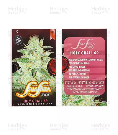 Graines de cannabis Holy Grail 69 (Samsara Seeds)
