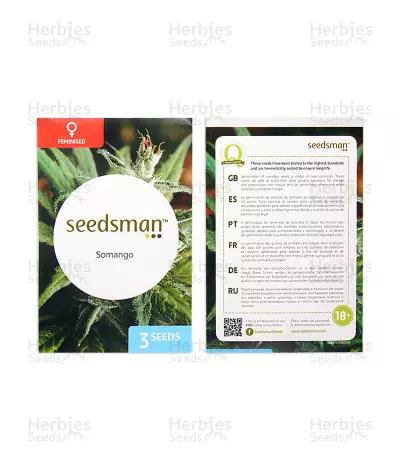 Somango feminized seeds (Seedsman)