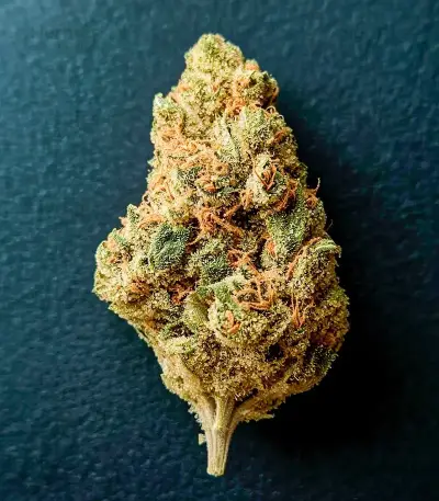 Graines de cannabis Diesel Matic Auto (Blackskull Seeds)