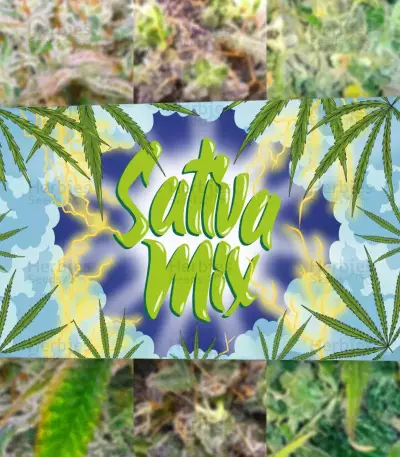 Sativa Mix feminizada (Herbies Seeds)