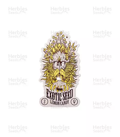 Lemon Candy feminized seeds