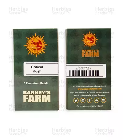 Critical Kush Seeds (Barney's Farm)