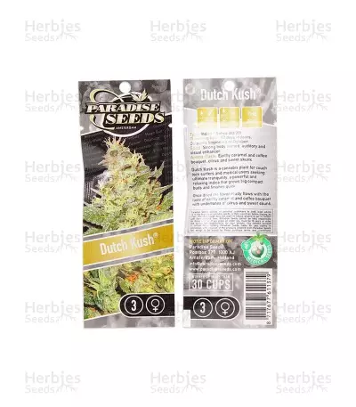 Graines de cannabis Dutch Kush (Paradise Seeds)