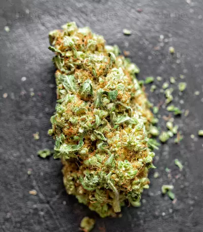 Semillas Feminizadas Keep Frosted Guava Autoflower (Seedkeepers)