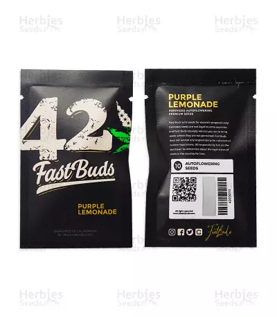 Graines féminisées de Purple Lemonade Auto (Fast Buds)