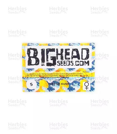 Fire OG Kush (Big Head Seeds)