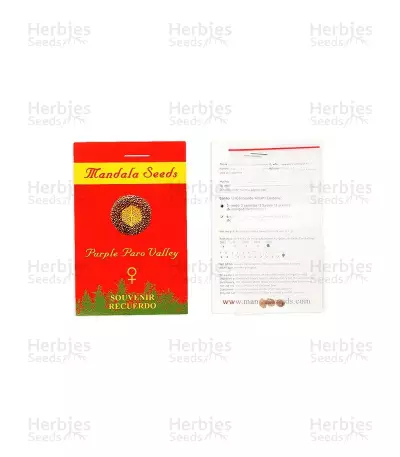 Graines de cannabis Purple Paro Valley (Mandala Seeds)